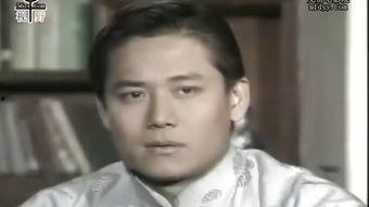 婉君在线观看,穿越时空的青春恋曲